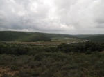 0021-First View.JPG